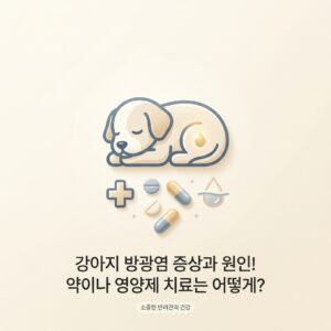 강아지 방광염 증상과 원인! 약이나 영양제 치료는 어떻게?
