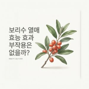 보리수 열매 효능 효과 부작용은 없을까?