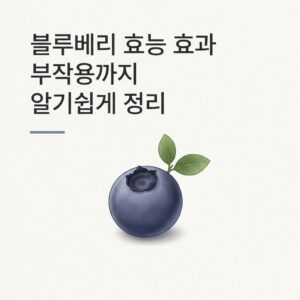 블루베리 효능 효과 부작용까지 알기쉽게 정리