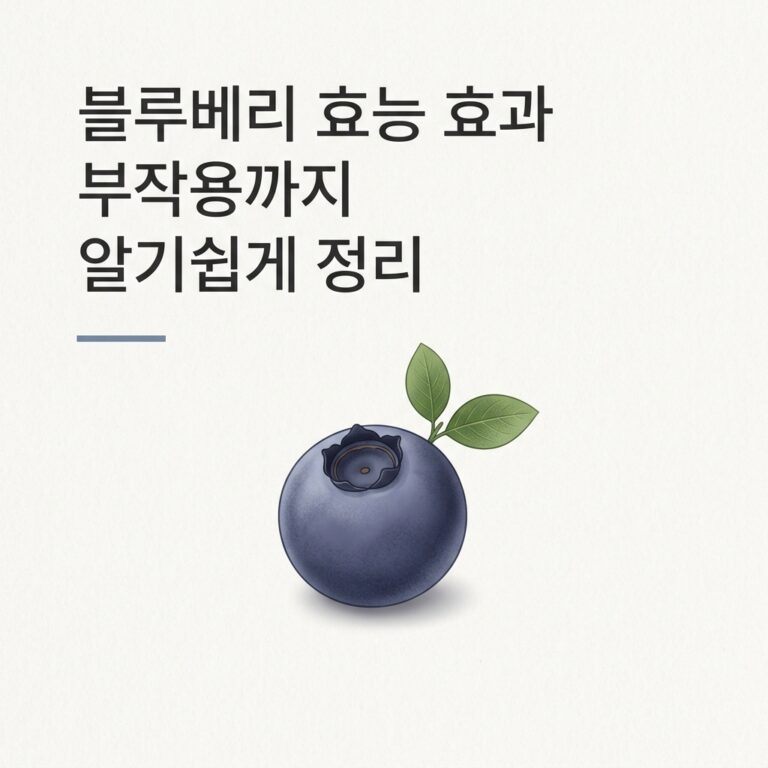 블루베리 효능 효과 부작용까지 알기쉽게 정리