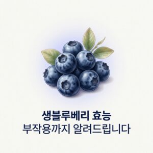 생블루베리 효능 부작용까지 알려드립니다
