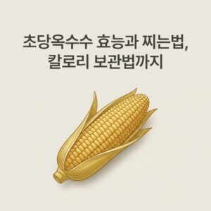 초당옥수수 효능과 찌는법, 칼로리 보관법까지