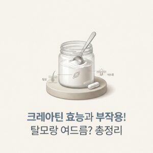 크레아틴 효능과 부작용! 탈모랑 여드름? 총정리
