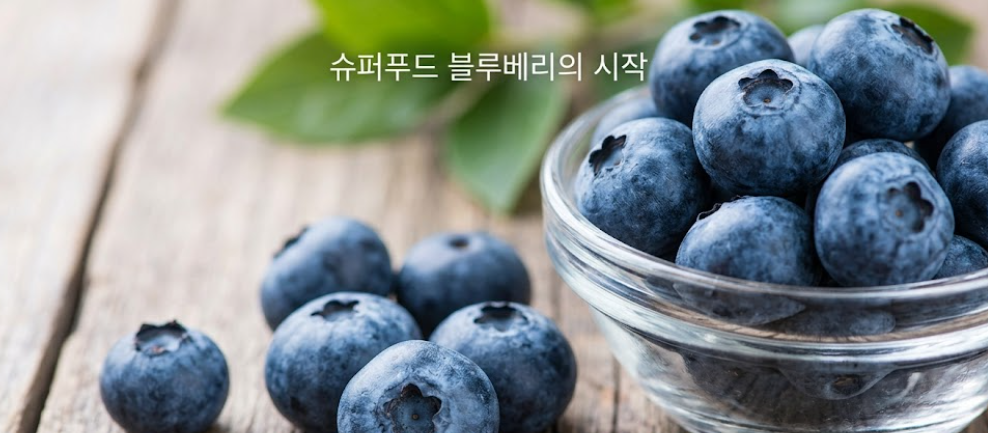 블루베리 효능 효과 부작용까지 알기쉽게 정리 1 image 58