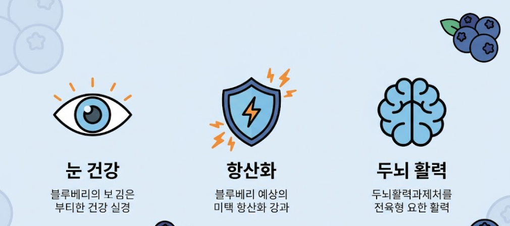 블루베리 효능 효과 부작용까지 알기쉽게 정리 2 image 59