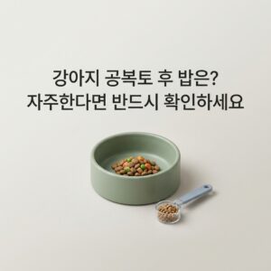 강아지 공복토 후 밥은? 자주한다면 반드시 확인하세요