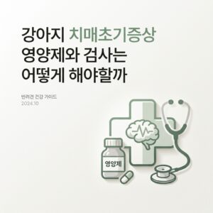 강아지 치매초기증상 영양제와 검사는 어떻게 해야할까
