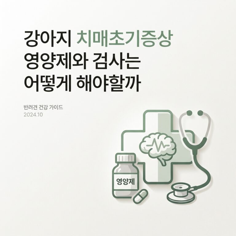 강아지 치매초기증상 영양제와 검사는 어떻게 해야할까