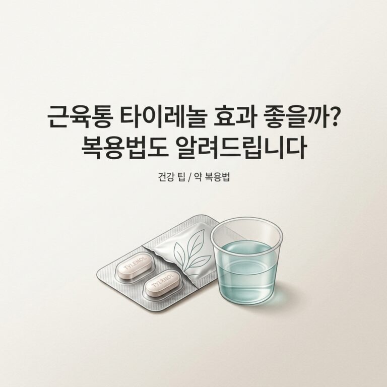 ai thumbnail minimal 근육통 타이레놀 효과 좋을까 복용법도 알려드립니다 1786804279