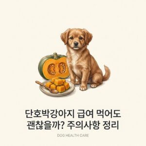 단호박강아지 급여 먹어도 괜찮을까? 주의사항 정리