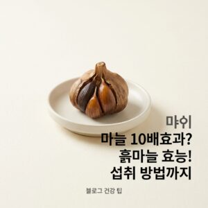 마늘의 10배효과? 흑마늘 효능! 섭취 방법까지