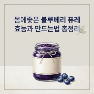 몸에좋은 블루베리 퓨레 효능과 만드는법 총정리