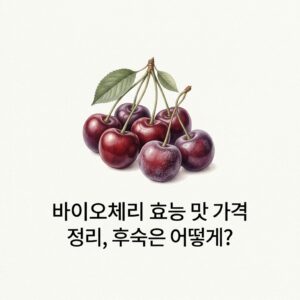 바이오체리 효능 맛 가격 정리, 후숙은 어떻게?