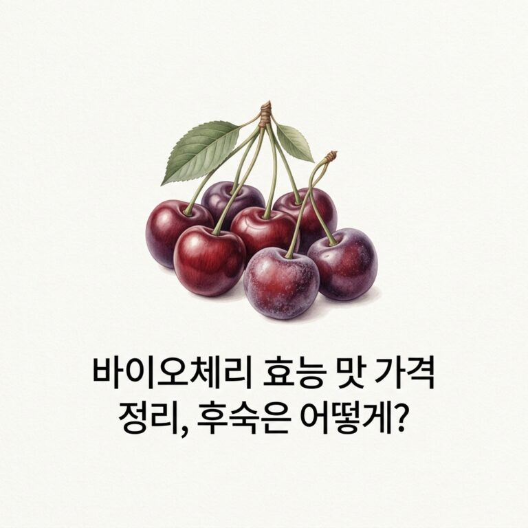 바이오체리 효능 맛 가격 정리, 후숙은 어떻게?