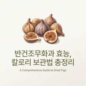 반건조무화과 효능, 칼로리 보관법 총정리