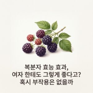 ai thumbnail minimal 복분자 효능 효과 여자 한테도 그렇게 좋다고 혹시 부작용은 없을까 1786077186