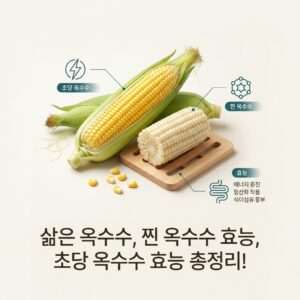 삶은 옥수수, 찐 옥수수 효능, 초당 옥수수 효능 총정리!