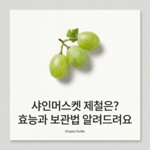 샤인머스켓 제철은? 효능과 보관법 알려드려요