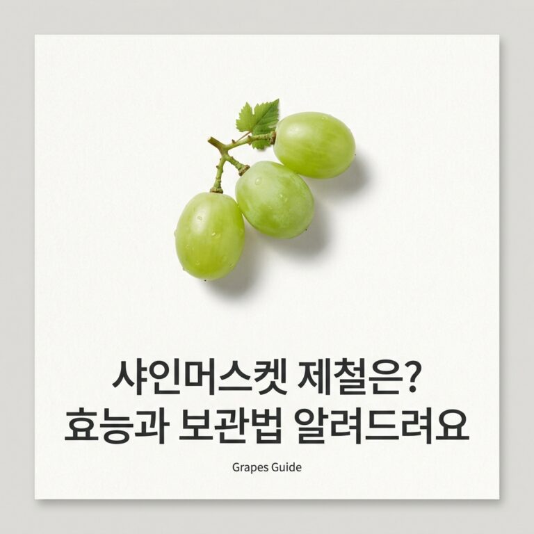 샤인머스켓 제철은? 효능과 보관법 알려드려요