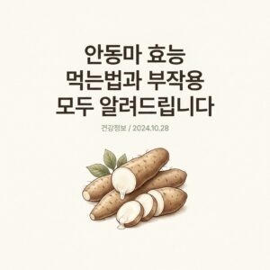 안동마 효능 먹는법과 부작용 모두 알려드립니다