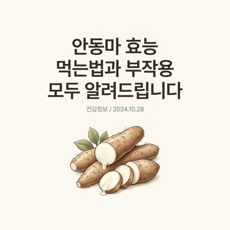 안동마 효능 먹는법과 부작용 모두 알려드립니다