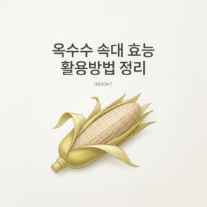 옥수수 속대 효능 활용방법 정리