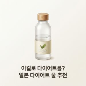 이걸로 다이어트를? 일본 다이어트 물 추천