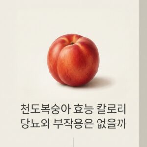 천도복숭아 효능 칼로리 당뇨와 부작용은 없을까