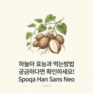 하늘마 효능과 먹는방법 궁금하다면 확인하세요!