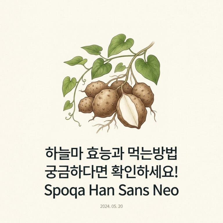 하늘마 효능과 먹는방법 궁금하다면 확인하세요!