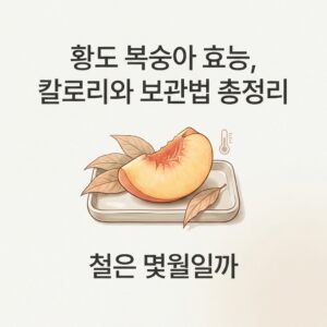 황도 복숭아 효능, 칼로리와 보관법 총정리 철은 몇월일까