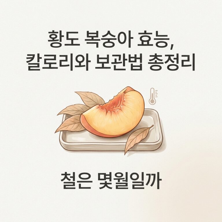 황도 복숭아 효능, 칼로리와 보관법 총정리 철은 몇월일까