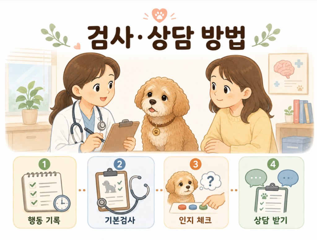 강아지 치매초기증상 영양제와 검사는 어떻게 해야할까 4 image 16