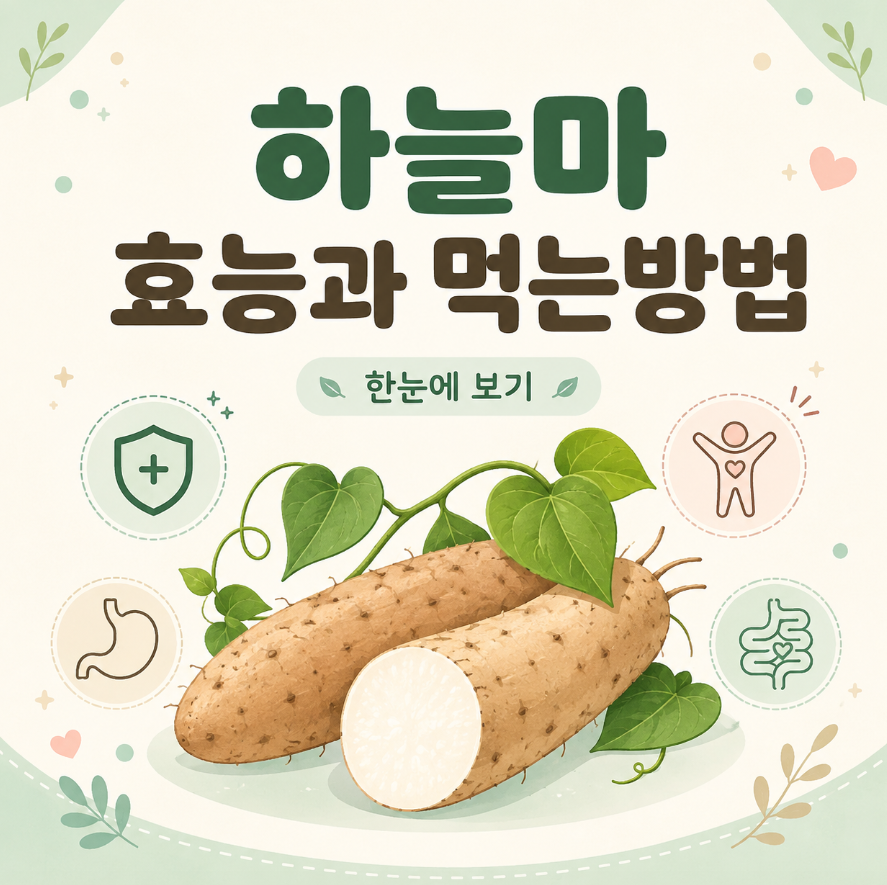 하늘마 효능과 먹는방법 궁금하다면 확인하세요! 1 image 324