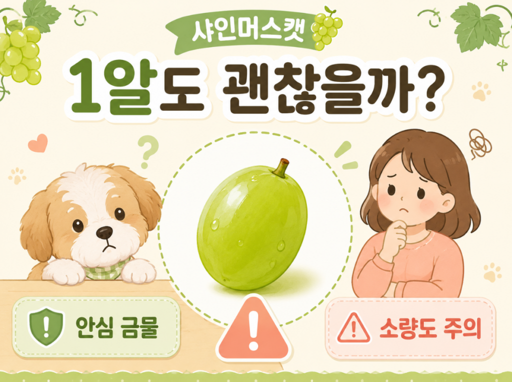 강아지 샤인머스켓 급여 먹어도될까? 1알정도는 괜찮을까 알려드려요 3 image 443