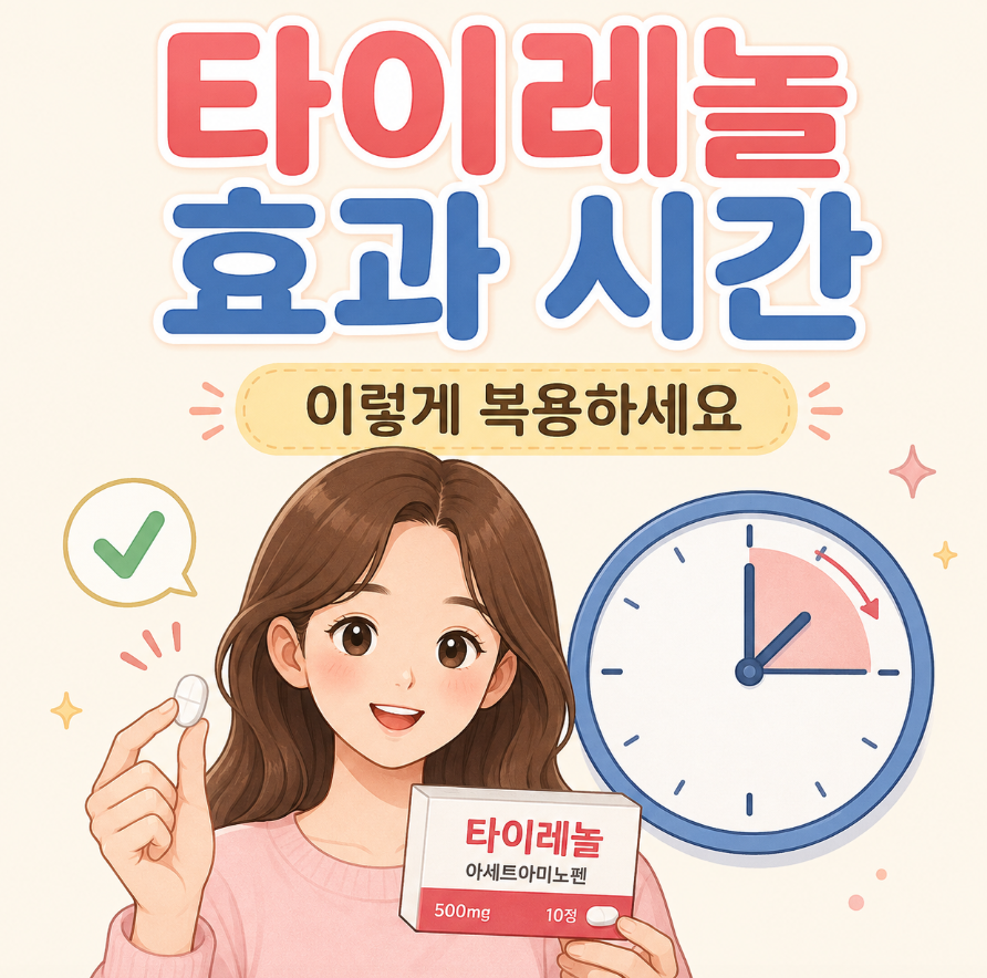 타이레놀 효과 시간 정리, 이렇게 복용하세요 1 image 445