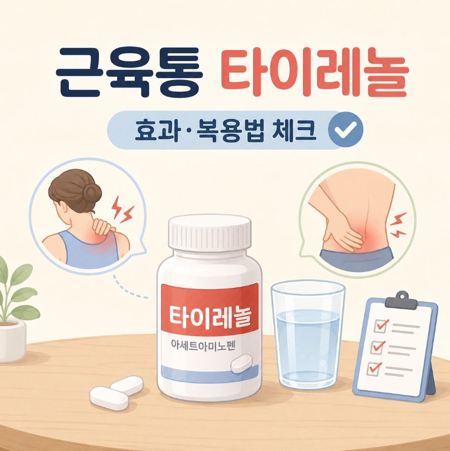 근육통 타이레놀 효과 좋을까? 복용법도 알려드립니다 1 image 469